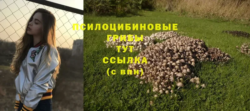 omg вход  Бологое  это официальный сайт  Галлюциногенные грибы Magic Shrooms 